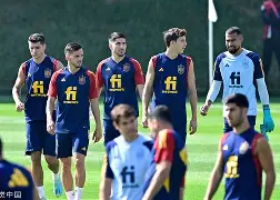 西班牙瑞士阵容