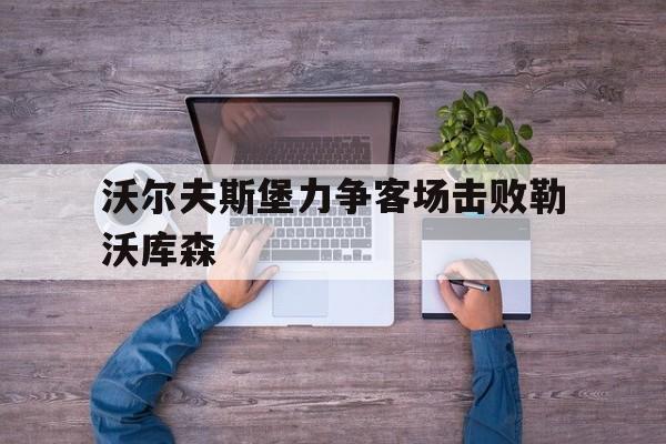 九州娱乐-沃尔夫斯堡球迷